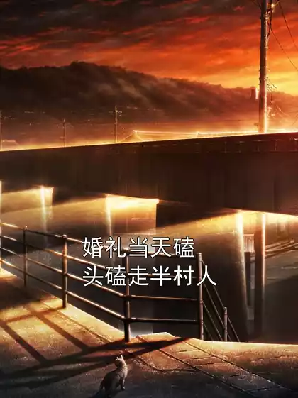 婚礼当天磕头磕走半村人小说
