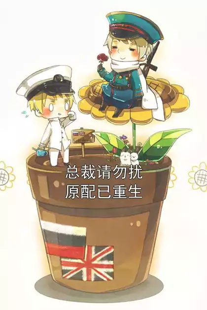 总裁请勿扰原配已重生