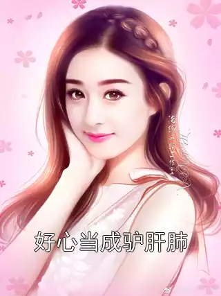 好心当成驴肝肺小说