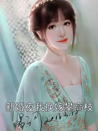 新婚夜我换嫁攀高枝小说