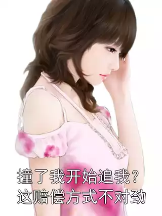 撞了我开始追我？这赔偿方式不对劲小说