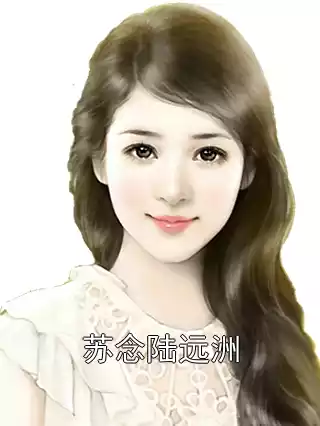 苏念陆远洲小说