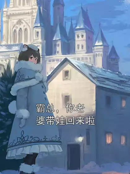 霸总，你老婆带娃回来啦小说