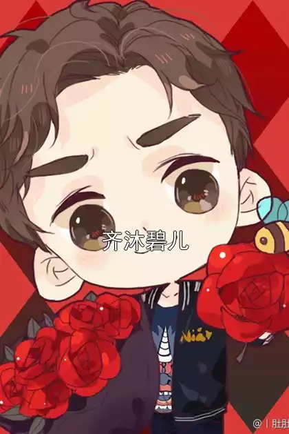 齐沐碧儿小说