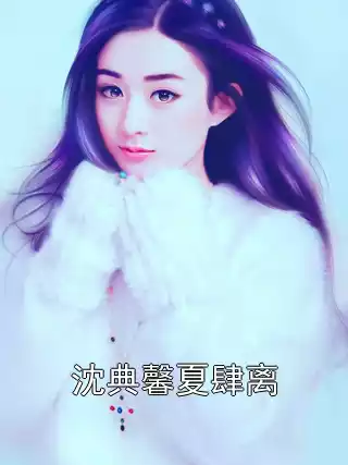 沈典馨夏肆离小说