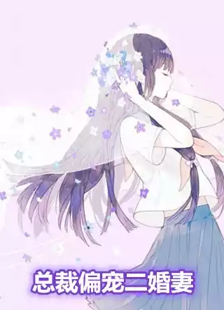总裁偏宠二婚妻小说
