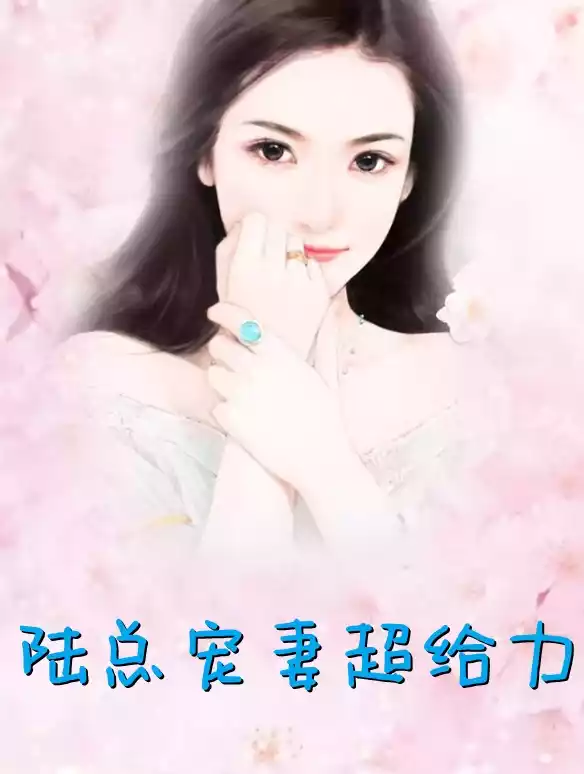 陆总宠妻超给力