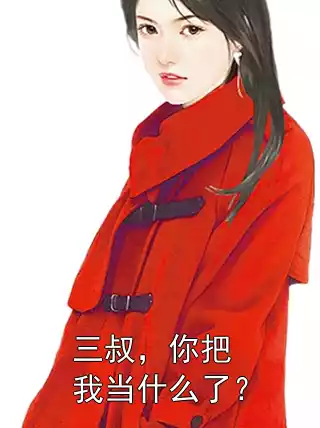 三叔，你把我当什么了？小说