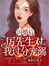 闪婚后，厉先生对我过分宠溺小说