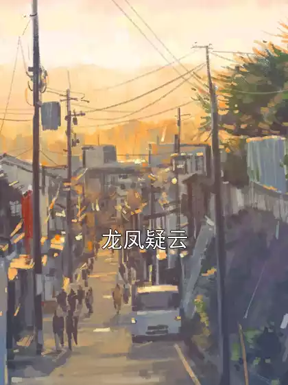 龙凤疑云小说