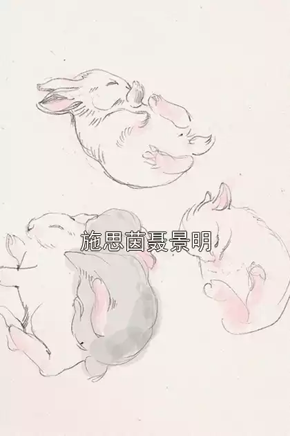 施思茵聂景明小说