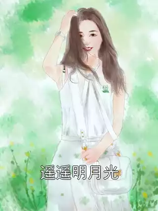 遥遥明月光小说