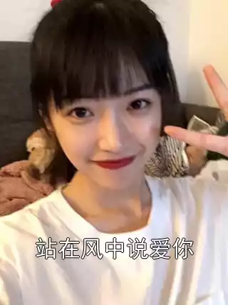 站在风中说爱你小说