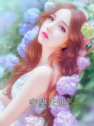 守望天明小说