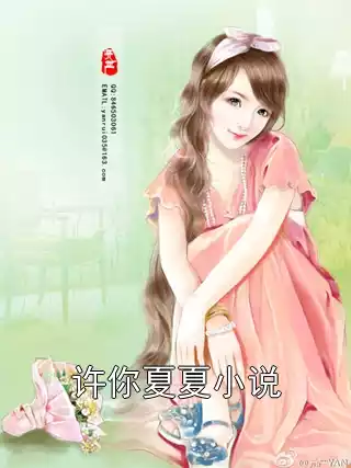许你夏夏小说小说