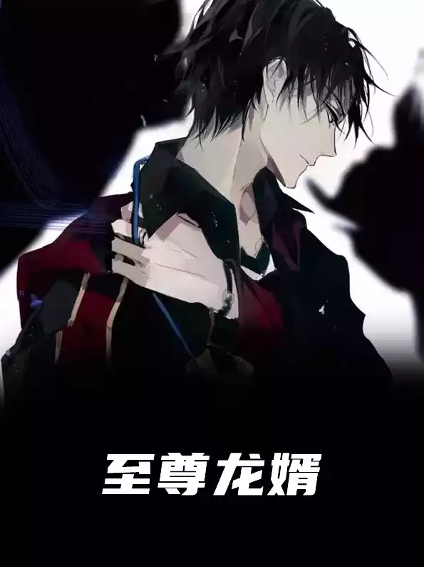 至尊龙婿秦风小说