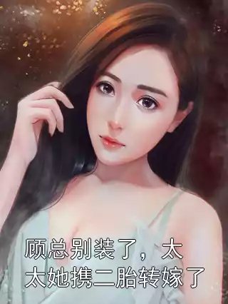 顾总别装了，太太她携二胎转嫁了小说