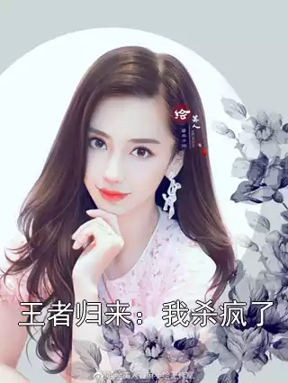 王者归来：我杀疯了小说