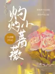 灼灼小蔷薇小说
