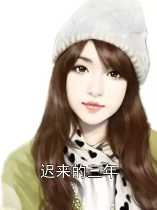 迟来的三年小说