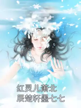 红灵儿萧北辰楚轩墨七七