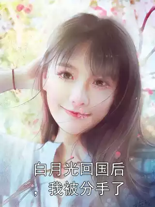 白月光回国后，我被分手了