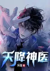天降神医小说