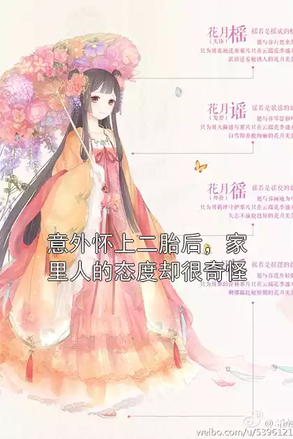 意外怀上二胎后，家里人的态度却很奇怪小说
