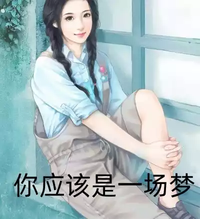 你应该是一场梦小说