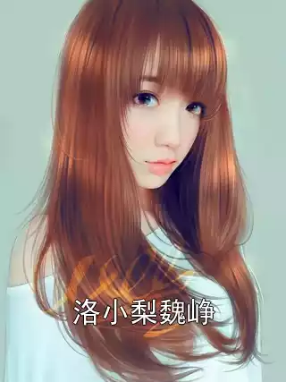 洛小梨魏峥小说