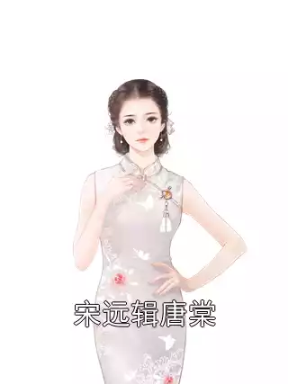 宋远辑唐棠小说