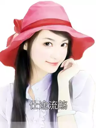 仕途流觞小说