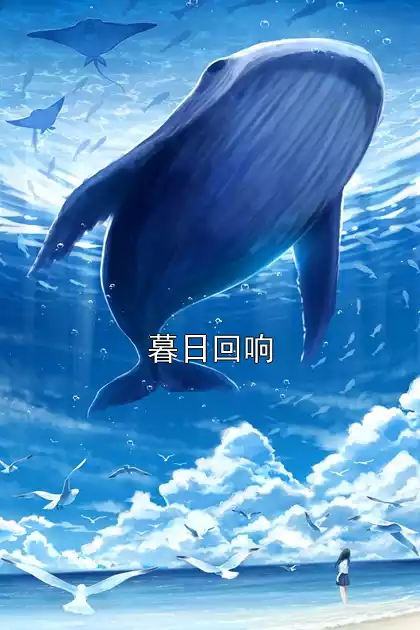 暮日回响小说