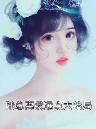 陆总离我远点大结局小说
