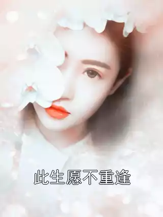此生愿不重逢小说