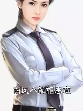 南风不解相思意小说