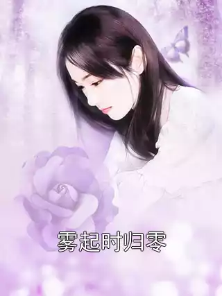 雾起时归零小说