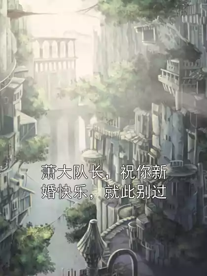 萧大队长，祝你新婚快乐，就此别过小说