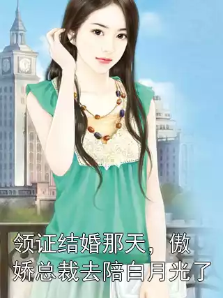 领证结婚那天，傲娇总裁去陪白月光了小说