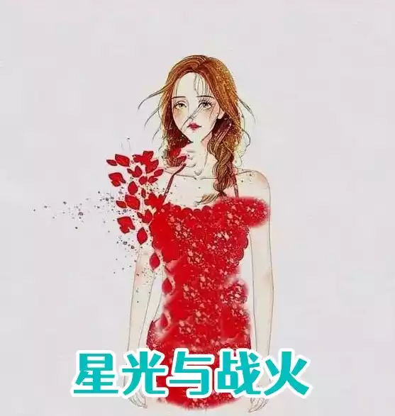 星光与战火小说