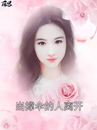 当撑伞的人离开小说
