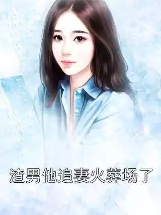 渣男他追妻火葬场了小说