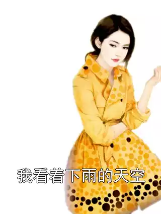 我看着下雨的天空小说