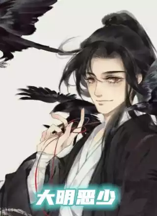 大明恶少小说
