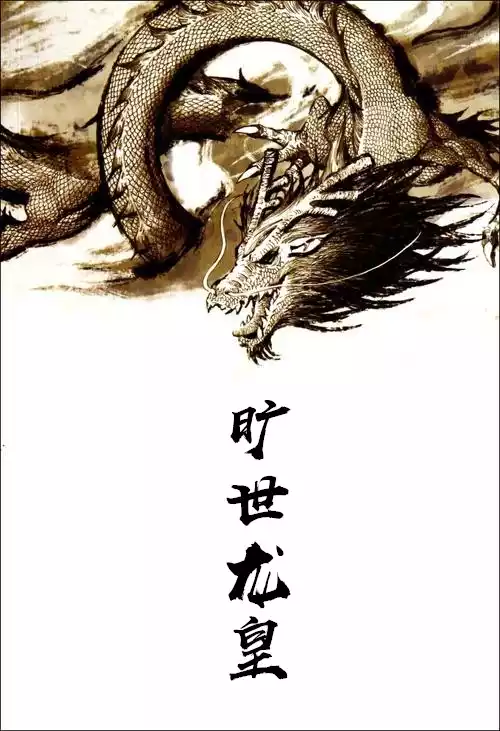 旷世龙皇小说