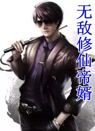 无敌修仙帝婿小说