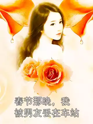 春节那晚，我被男友丢在车站小说