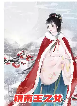 镇南王之女小说