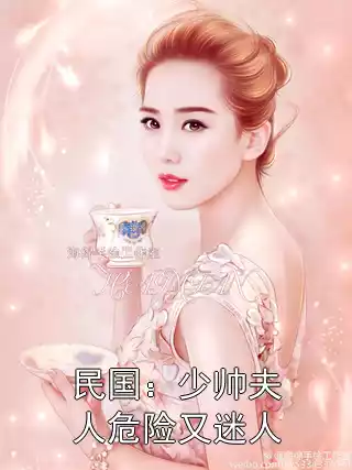 民国：少帅夫人危险又迷人小说