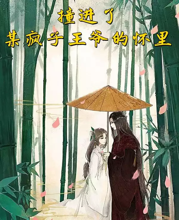 撞进了某疯子王爷的怀里小说